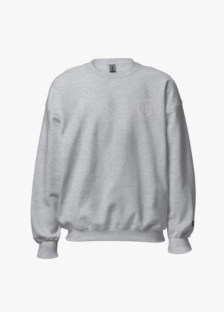 sweatshirt gris clair pour homme streetwear minimaliste avec blason blanc brodé male alpha