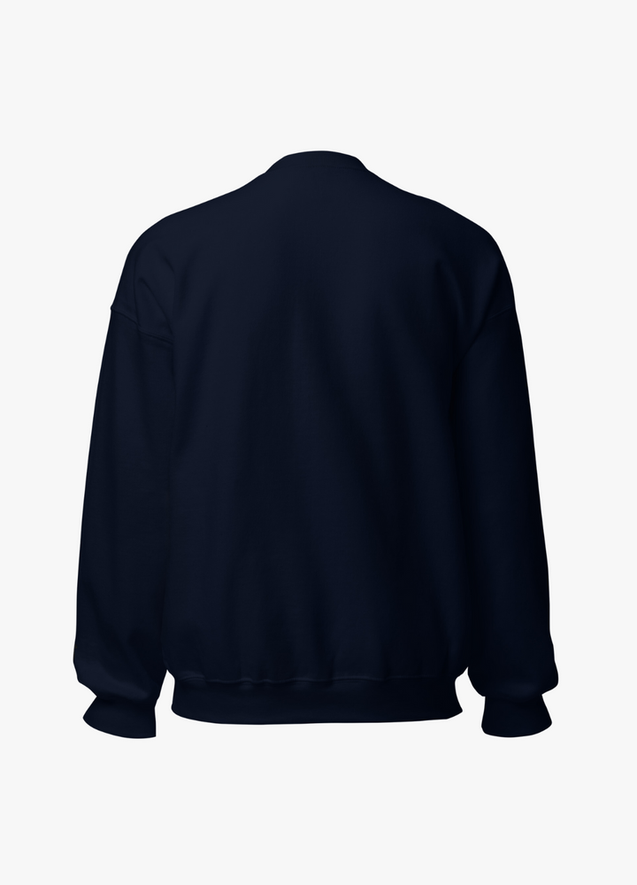 collection de sweatshirt streetstyle minimaliste à la mode sur le site panashe.shop